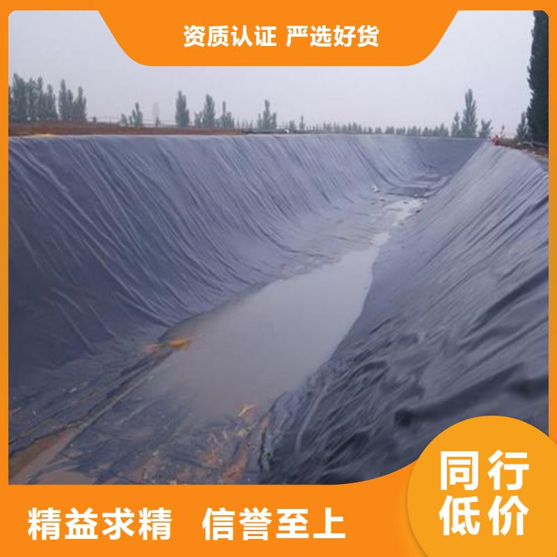土工膜护坡土工网多年行业积累同城生产厂家