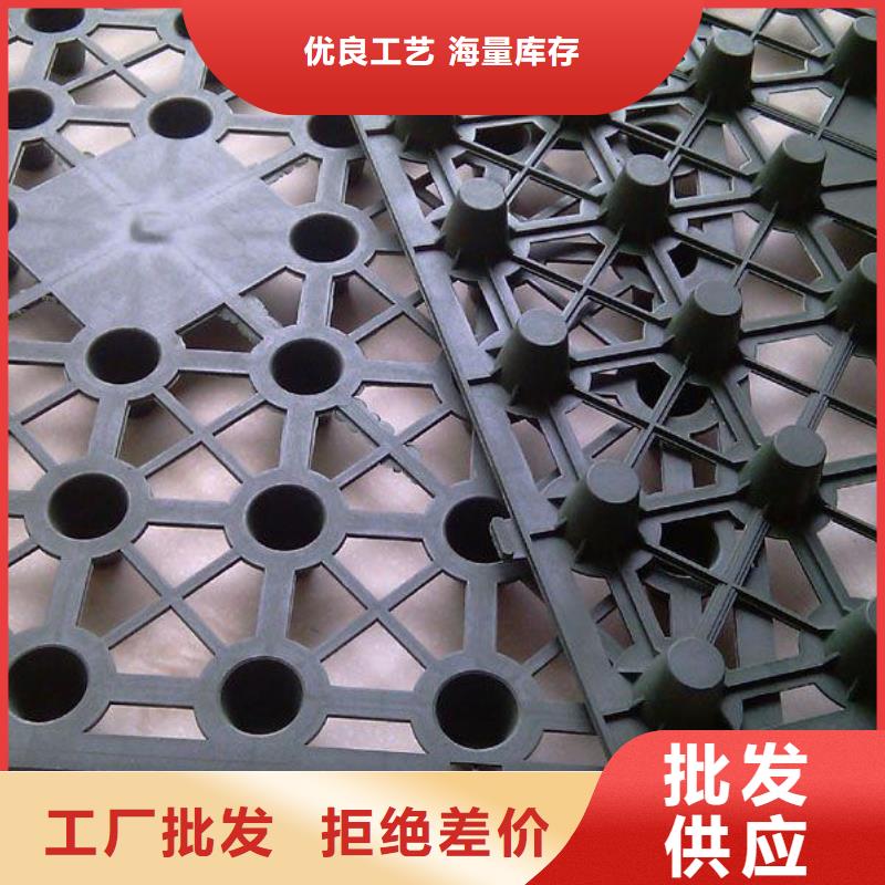 蓄排水板三维复合排水网有口皆碑品质保障价格合理