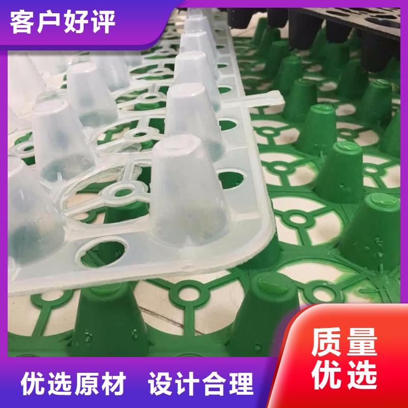 塑料排水板玻纤土工格栅采购直销厂家