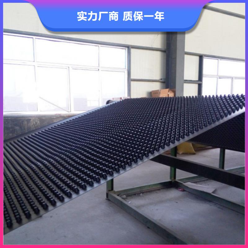 塑料排水板复合土工膜专注质量好产品价格低