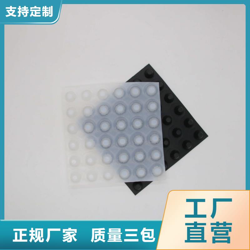 塑料排水板双向塑料土工格栅厂家案例自有厂家