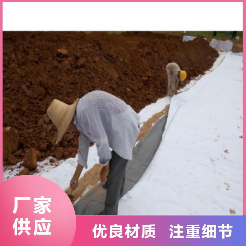 防水毯钢塑土工格栅厂家实力优品同城厂家