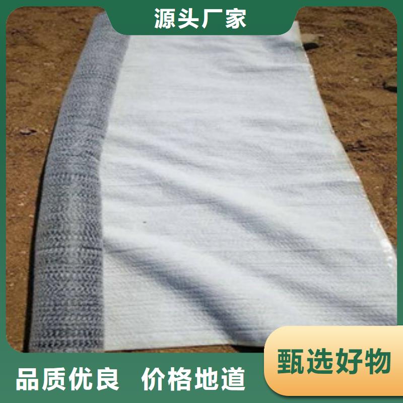 ​防水毯【钢塑土工格栅】每个细节都严格把关源厂定制