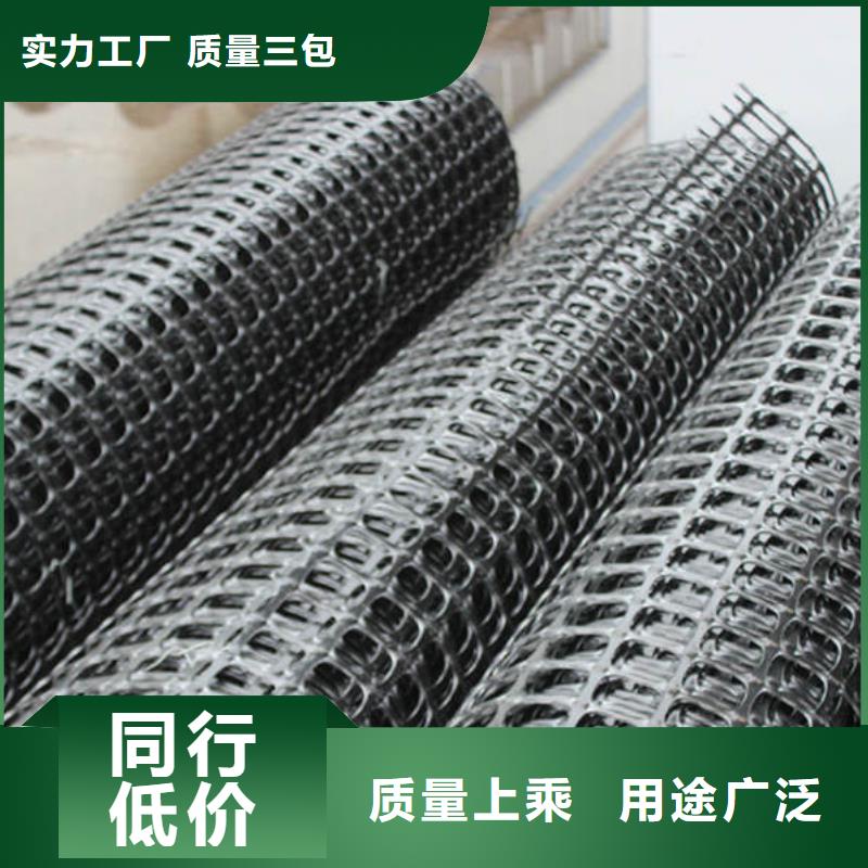 土工格栅涤纶土工格栅大厂生产品质当地生产商