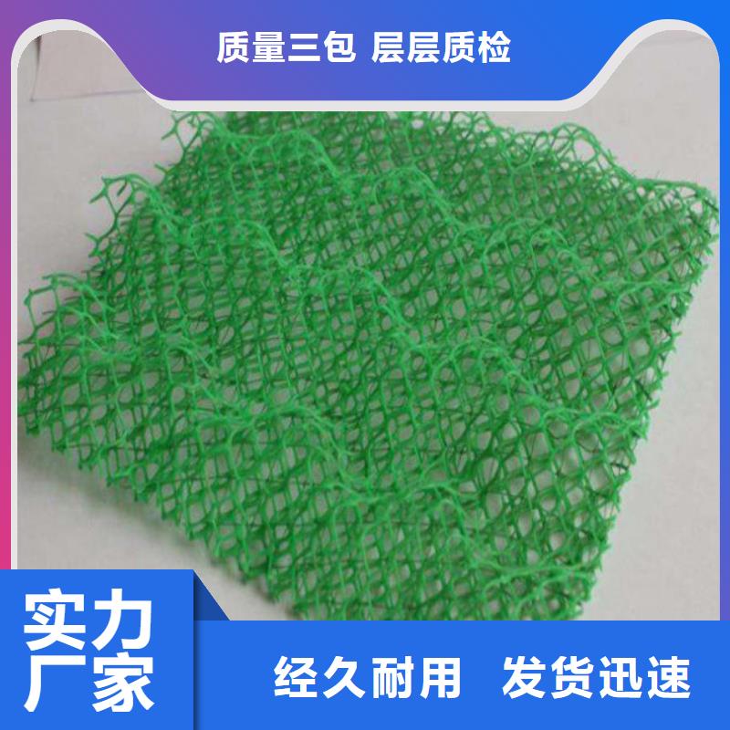 三维植被网HDPE土工膜闪电发货您身边的厂家