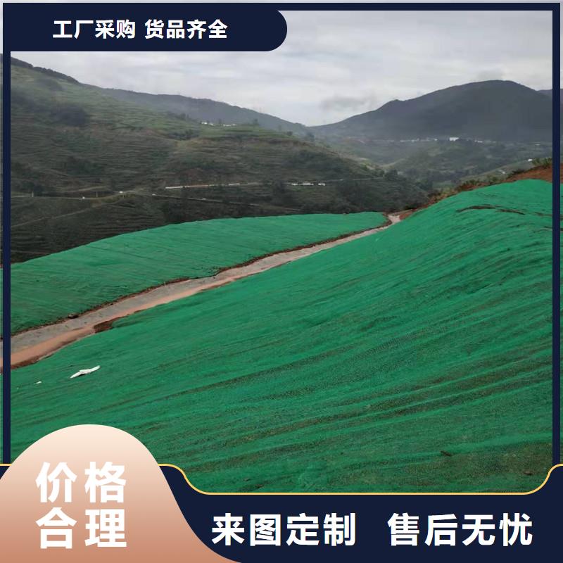 三维植被网三维植被网厂家细节之处更加用心当地经销商