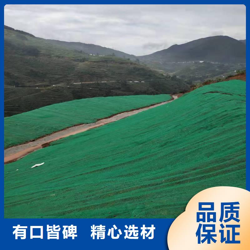三维植被网三维植被网厂家好厂家有担当极速发货