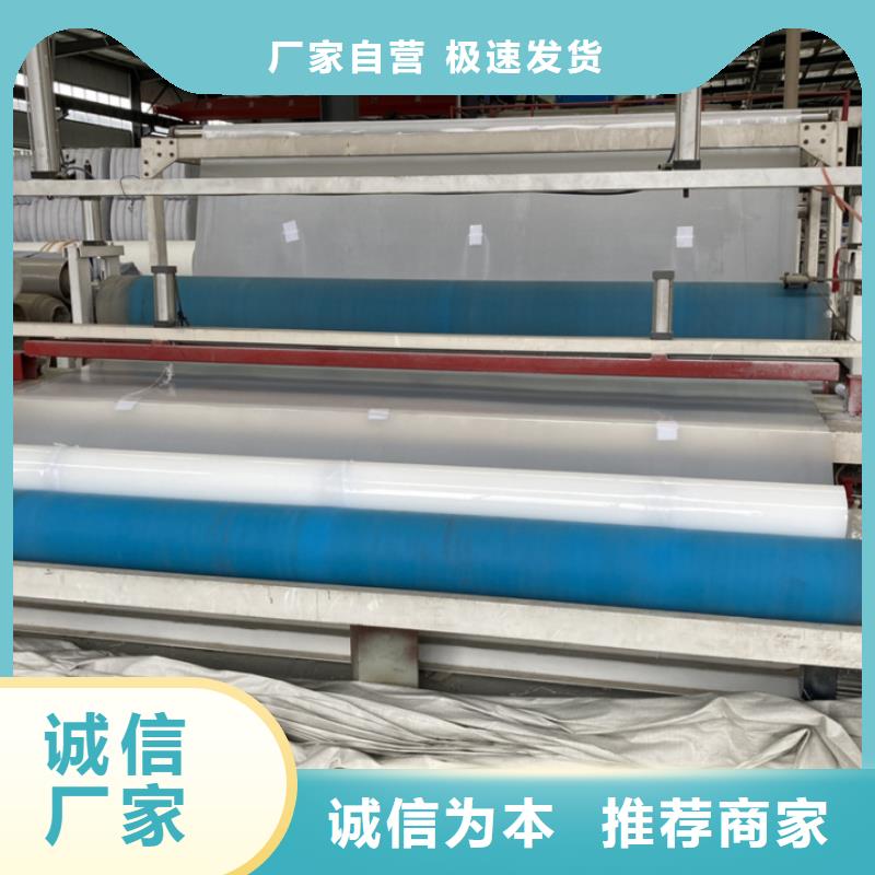 EVA防水板土工席垫主推产品同城生产厂家