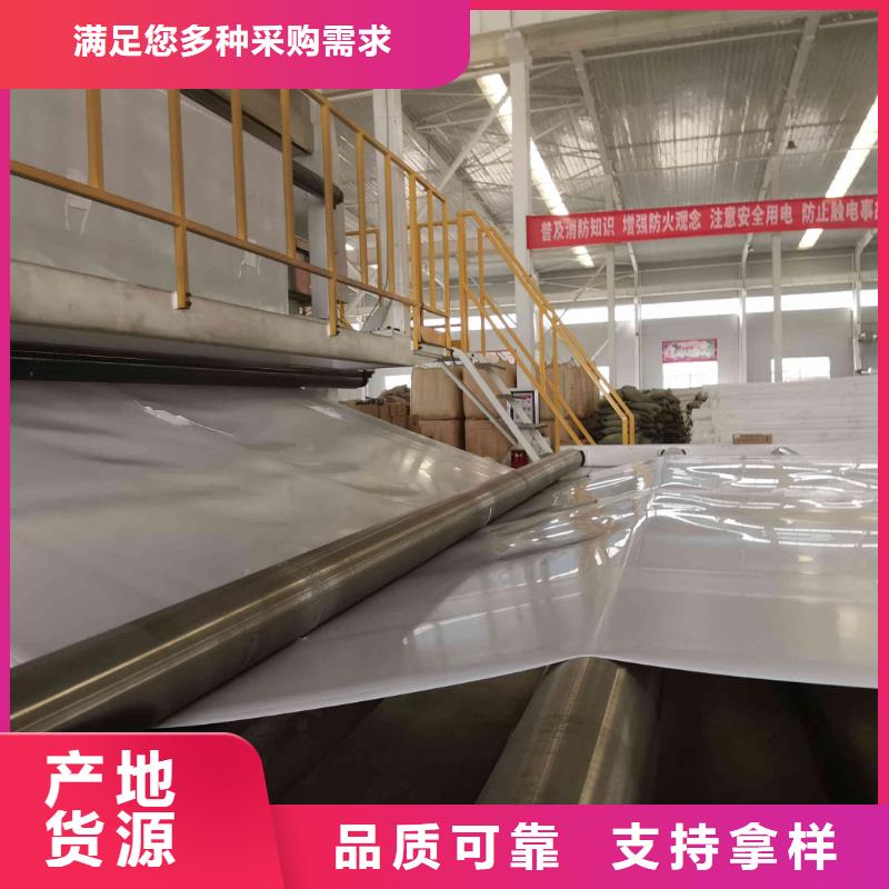 EVA防水板膨润土防水毯工艺成熟注重细节