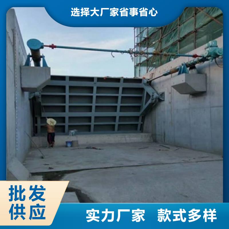 液压弧形闸门欢迎惠顾实力大厂家