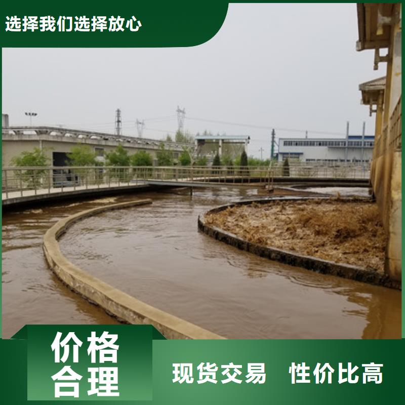 纯白石英砂质量可靠货源直销