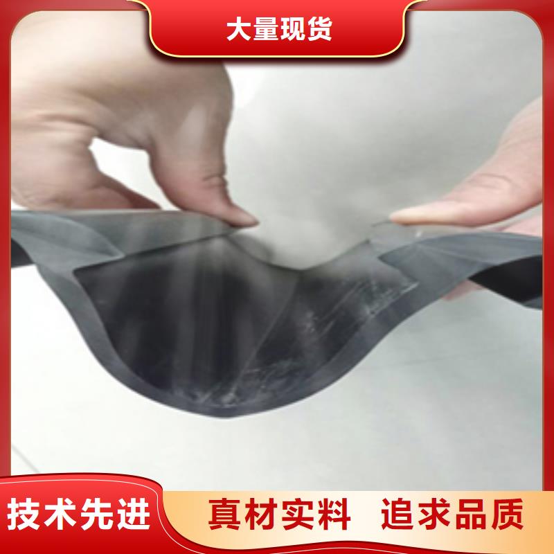 伸缩缝橡胶条更换施工队伍同城公司