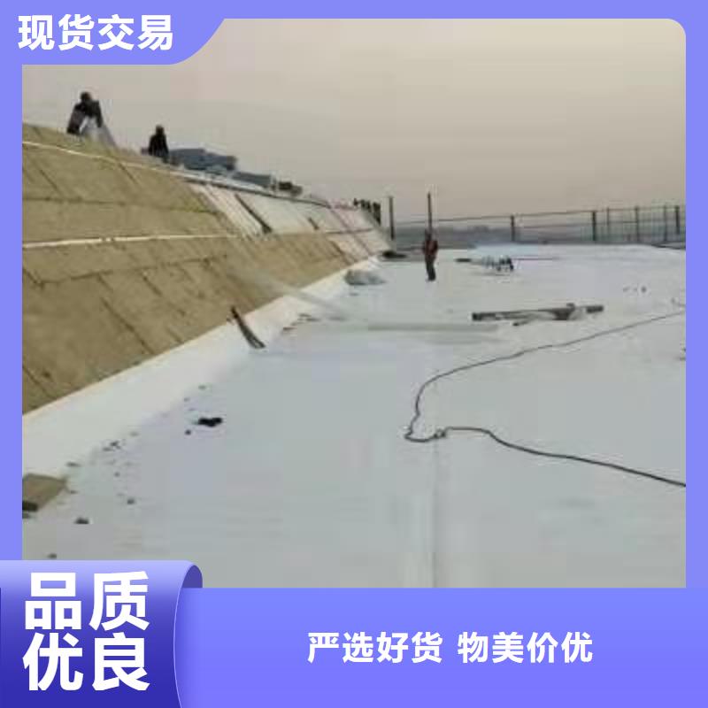 TPOPVC防水卷材定制零售批发实力厂家