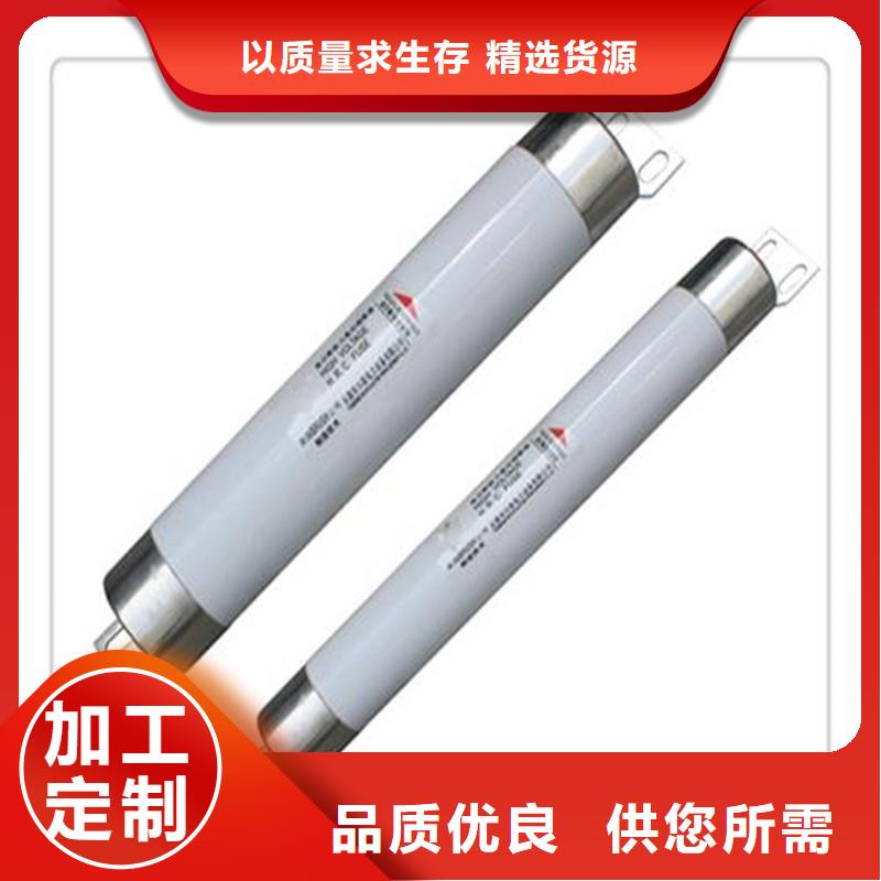 XRNT-10/2A限流熔断器工艺精细质保长久