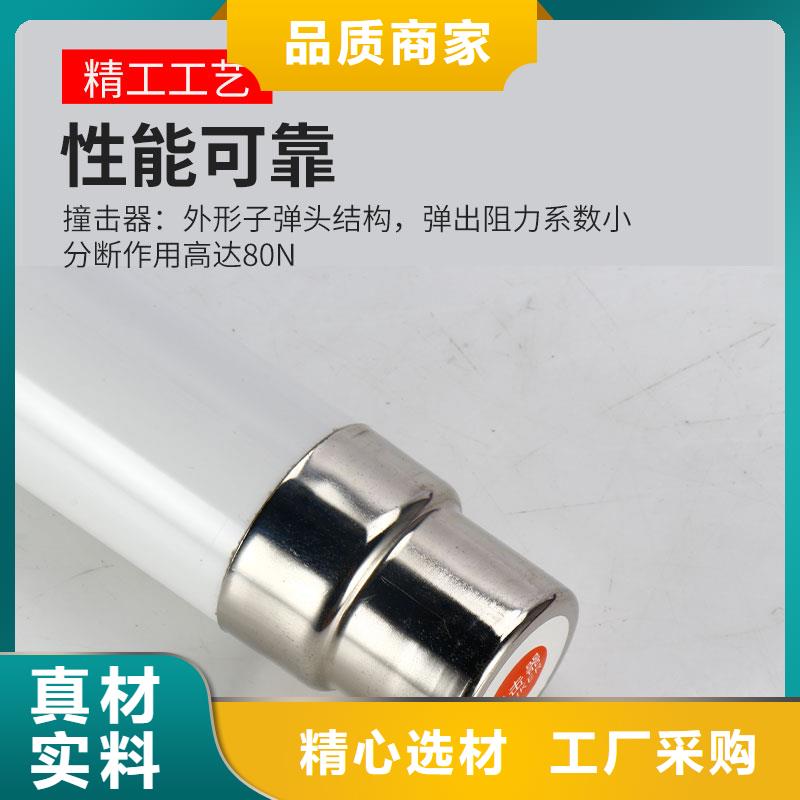 HBXWD-35/0.5A限流熔断器真材实料加工定制