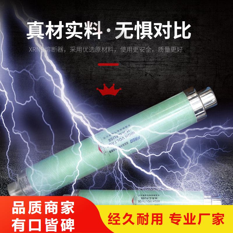 RXWD-35/0.5A限流熔断器多年经验值得信赖