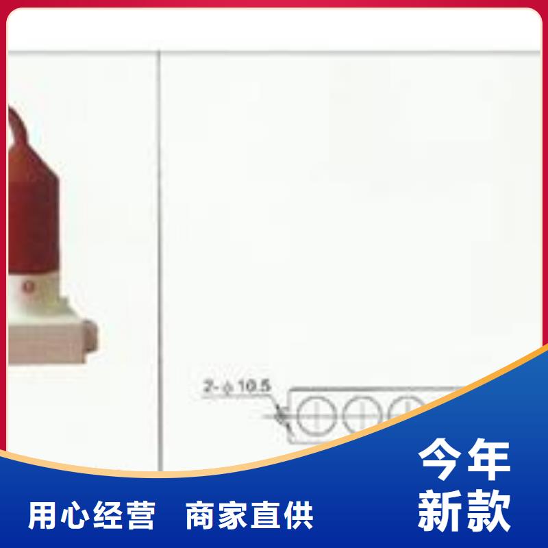 TBP-C-12.7F/131-J三相组合式避雷器厂家源头厂家直销