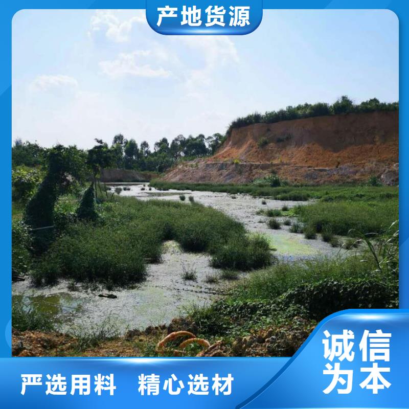 污泥改性剂软基固化土商情当地品牌