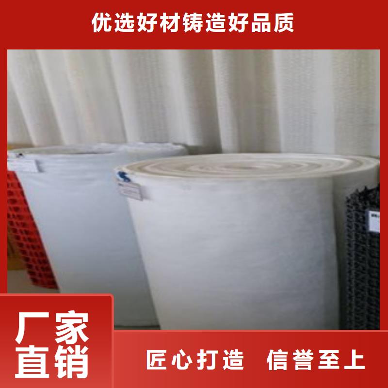 钢塑土工格栅塑料排水板品质服务源头工厂量大优惠