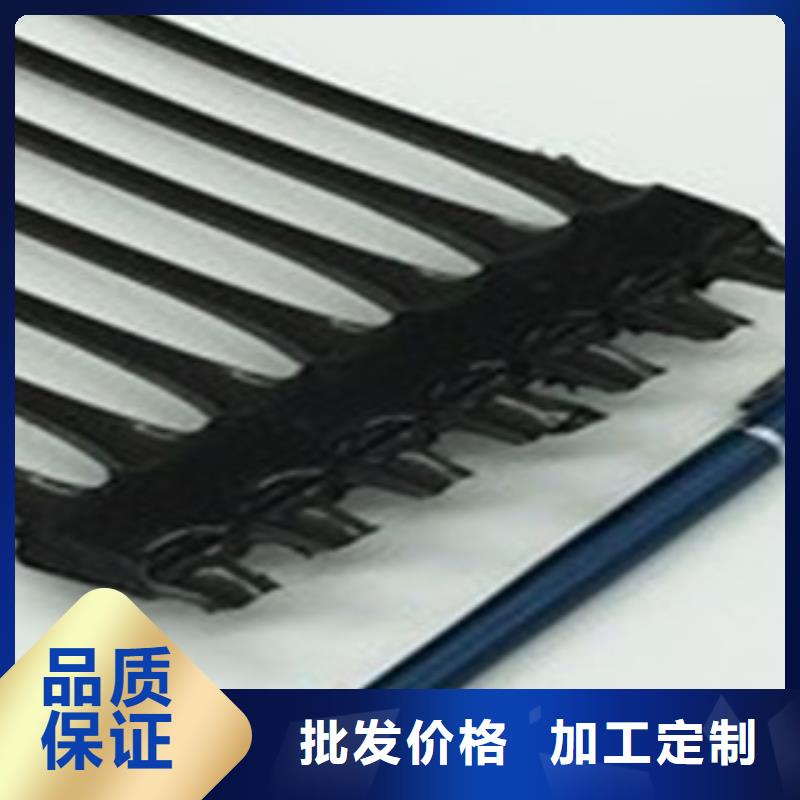 【单向塑料格栅三维植被网当地厂家值得信赖】品质服务