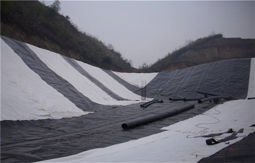 天然纳基防水毯价格同城公司