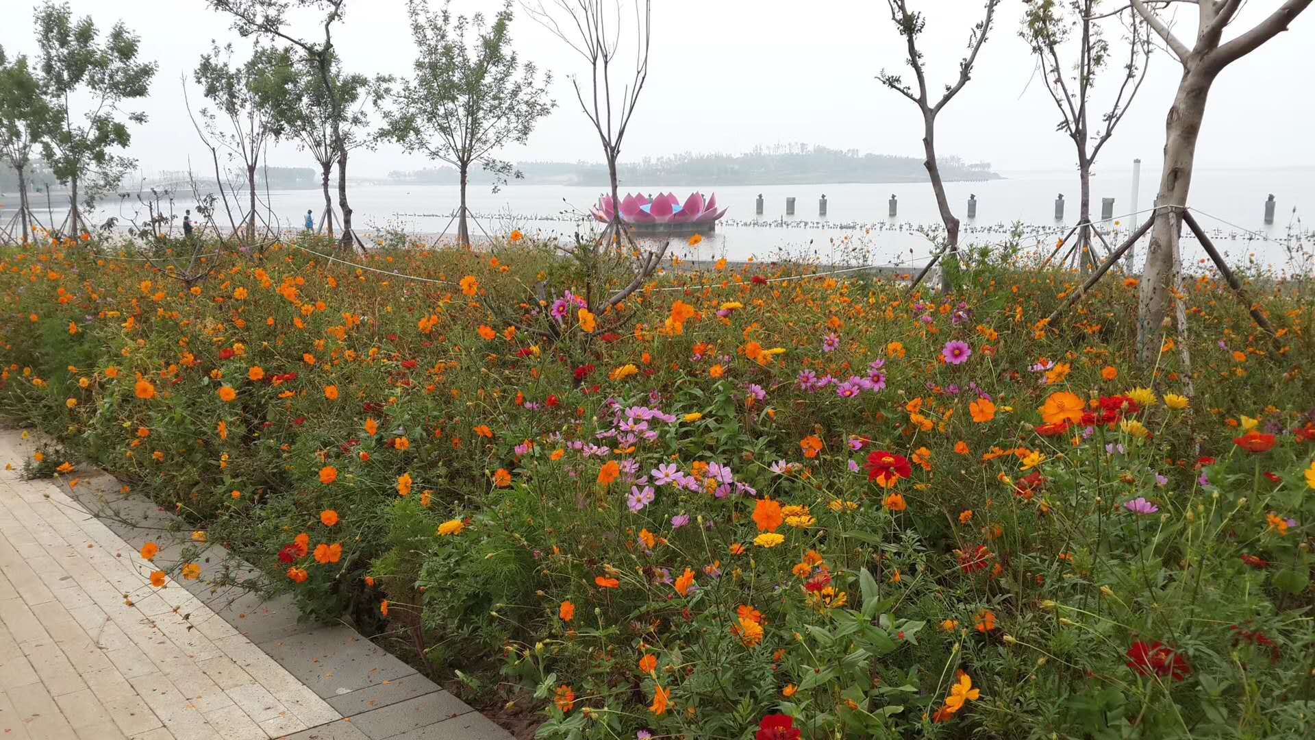 173千瓦客土种草喷浆机滚筒选土机同城品牌