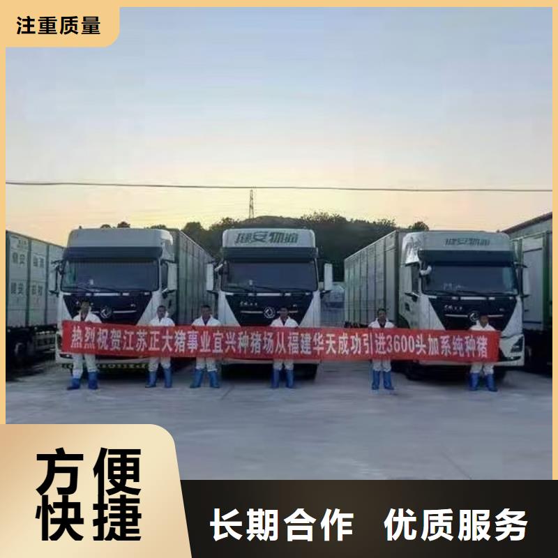 泗阳到安庆二育运输