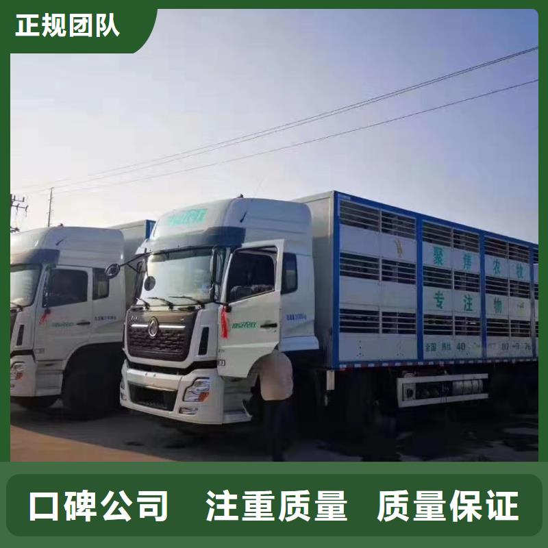 宿迁市到巢湖猪只运输专用车-空调车诚实守信