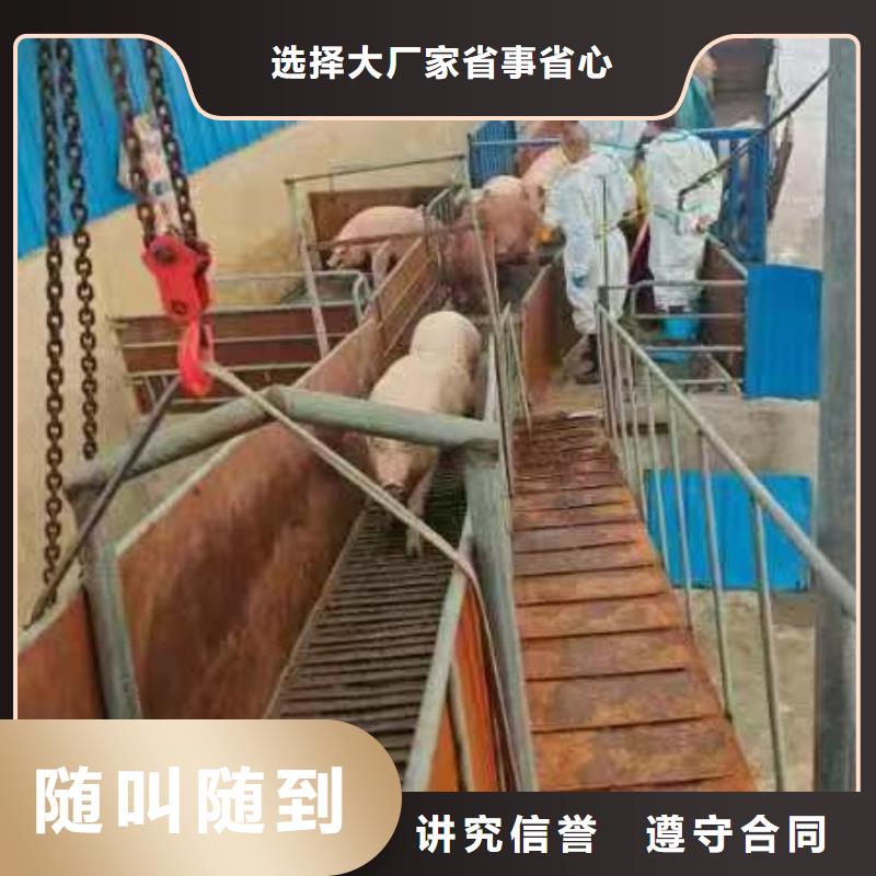 泗阳到临沧猪牛羊运输-恒温车品质保证