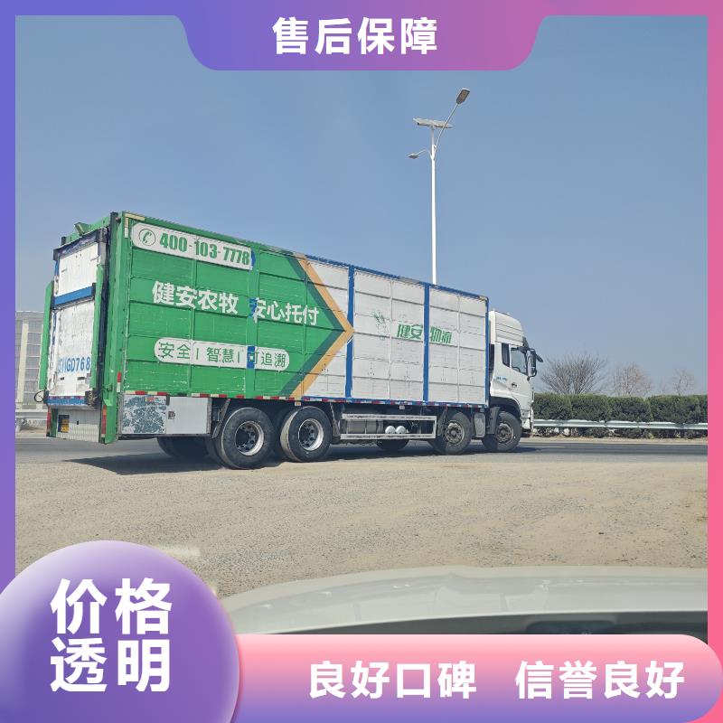 南京到东莞畜禽物流-空调车专车专运