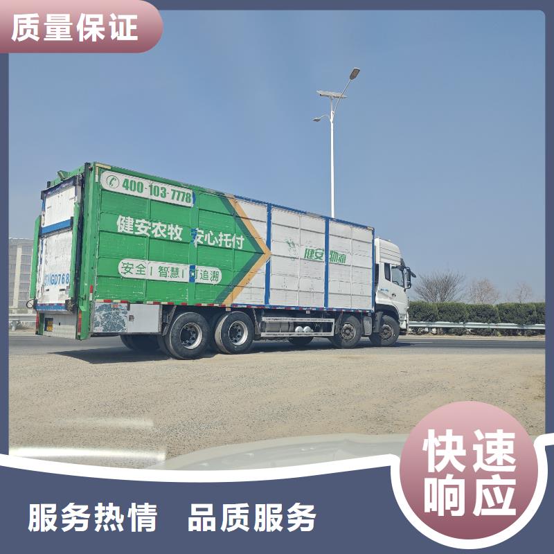 泗洪到包头畜禽物流-恒温车随叫随到