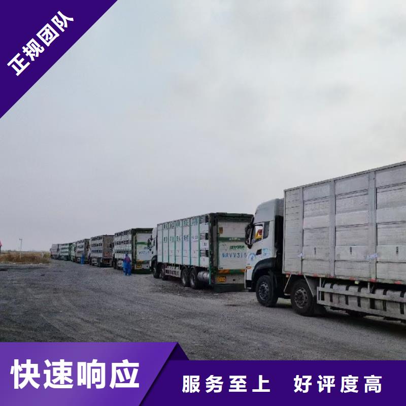 泗阳到阜阳活禽运输