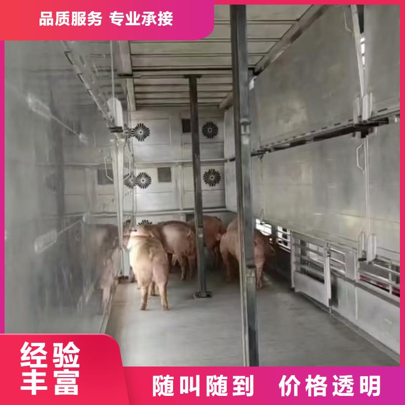 徐州到漳州农牧运输-空调车实力雄厚