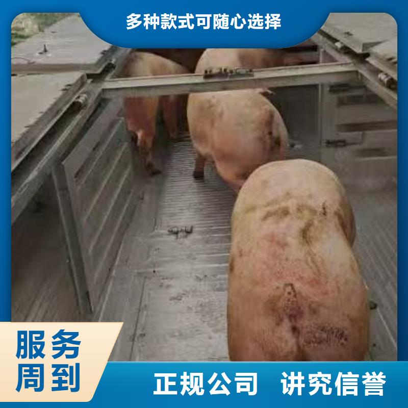 泗洪到安庆恒温车运输