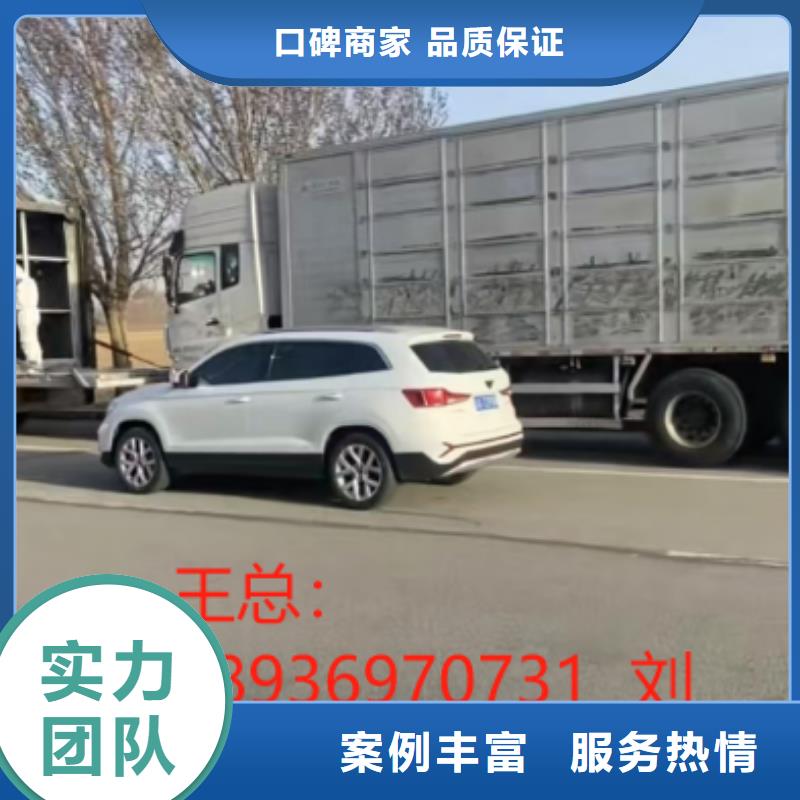 杭州到安庆种猪运输长期合作猪牛羊运输