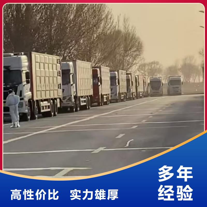 沭阳到驻马店牛运输-专用车通风良好