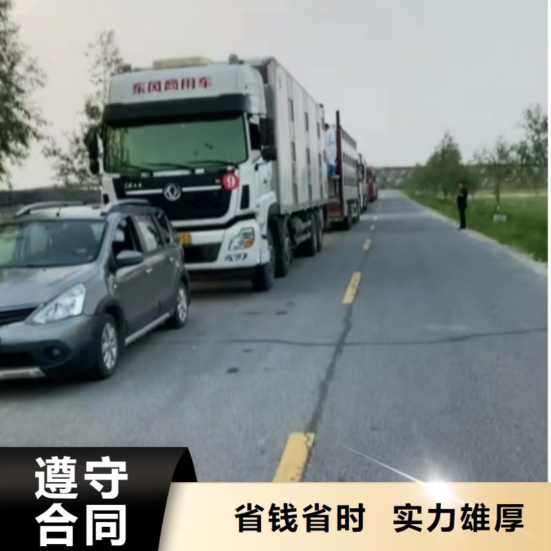 泗阳到宁波农牧运输