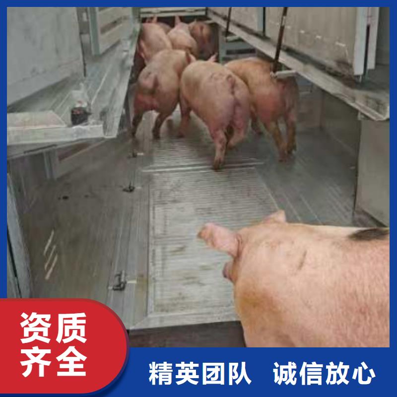 泰州到随州散装料-空调车放心之选