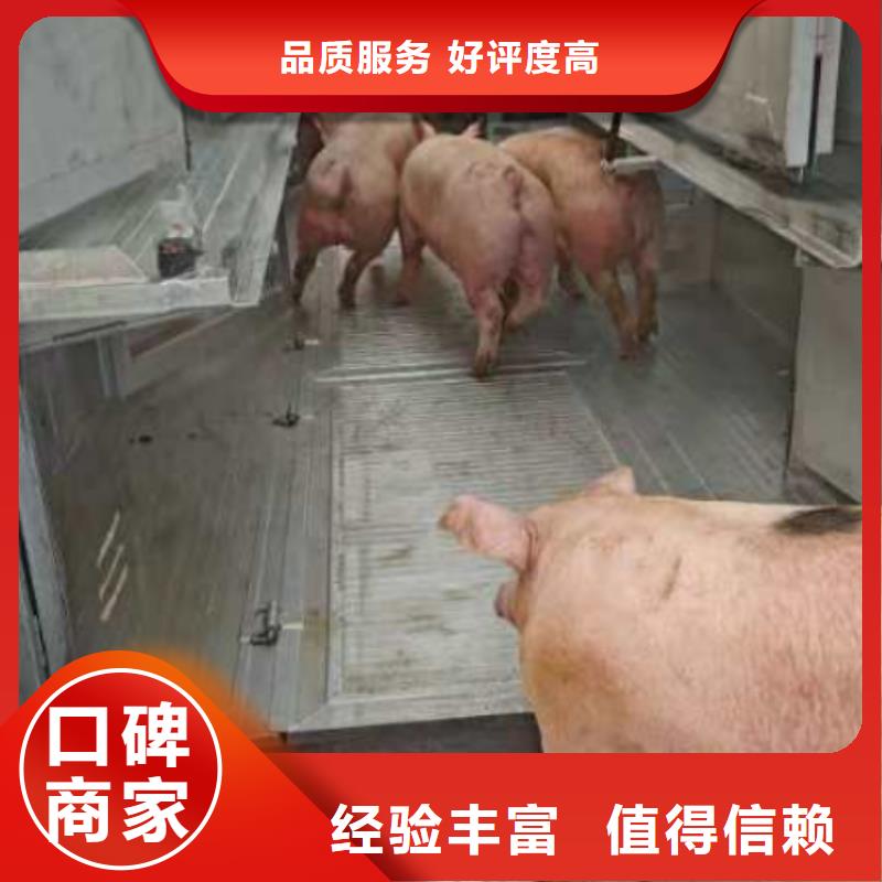 苏州到宁波种仔猪运输-恒温车省钱省时