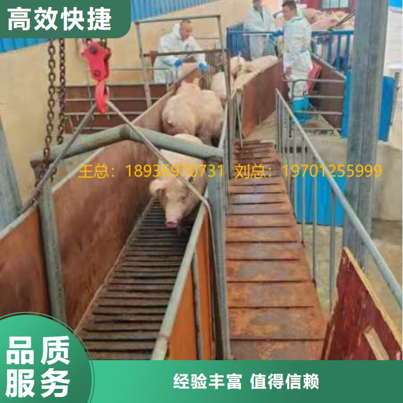 宿迁到蚌埠农牧运输
