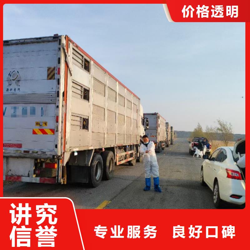 连云港到十堰生猪运输-恒温车全程呵护