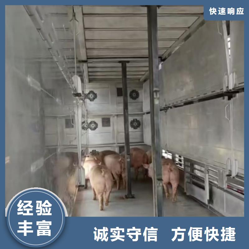白下到咸阳活禽运输空调车品质服务