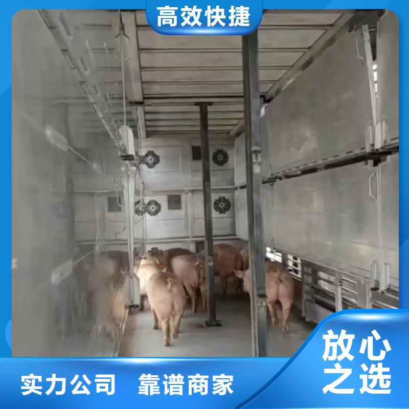连云港到阜阳猪笼车物流-空调车检疫合格