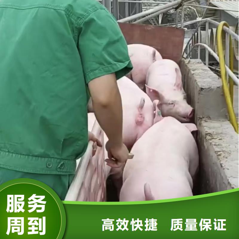 沭阳到汉中空调车运输-空调车诚实守信