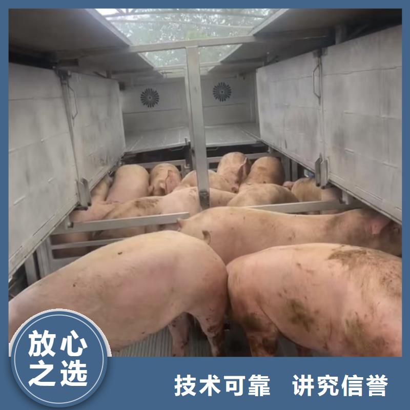 常州到滨州猪只运输专用车-空调车实力商家