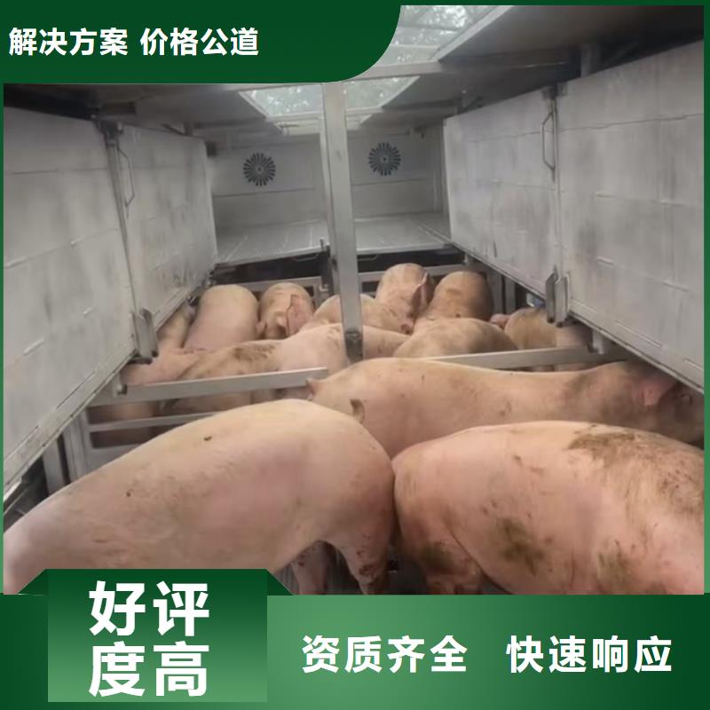 泗阳到安庆农牧运输