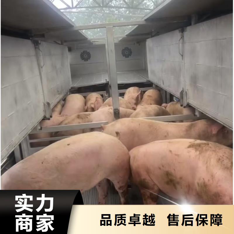 宿迁市沭阳到安庆猪笼车运输-恒温车技术精湛