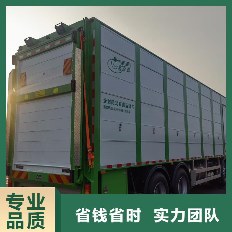 莆田二育运输质量保证技术可靠二育运输