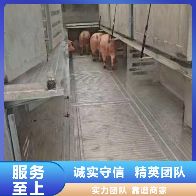 宿迁到平顶山牛运输专用车无忧