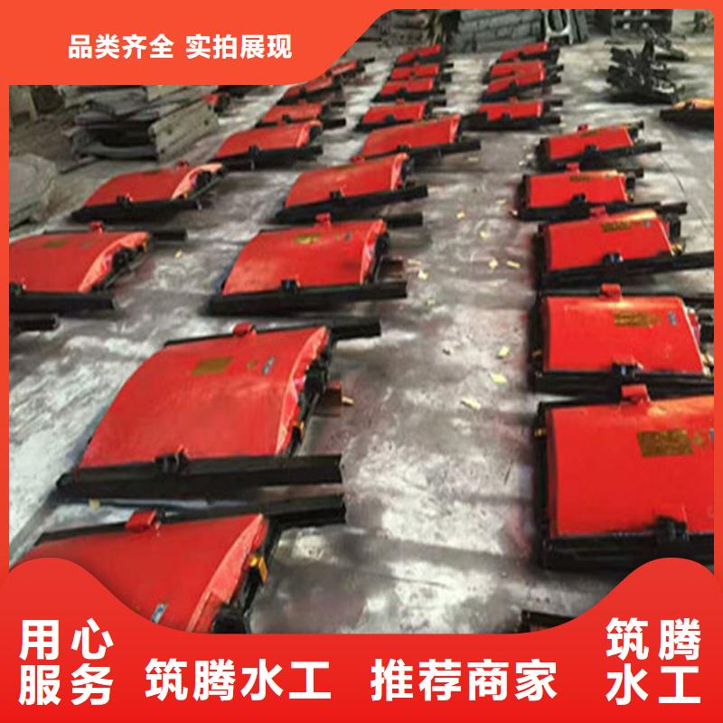 平板铸铁闸门厂家直销本地品牌